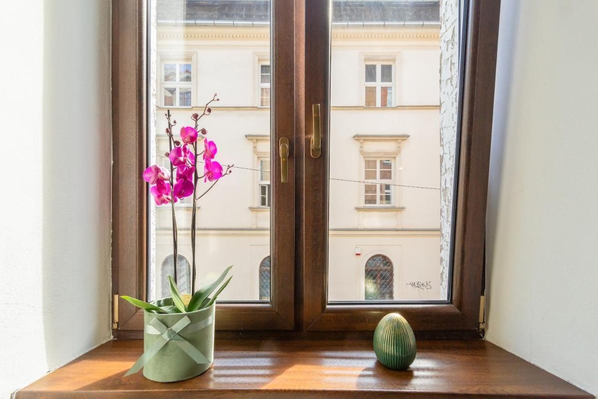 Cherish Bloom * Krakau